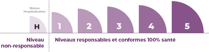 Niveau hospitalisation (niveau non-responsable), puis 5 niveau de garanties (niveaux responsables).
