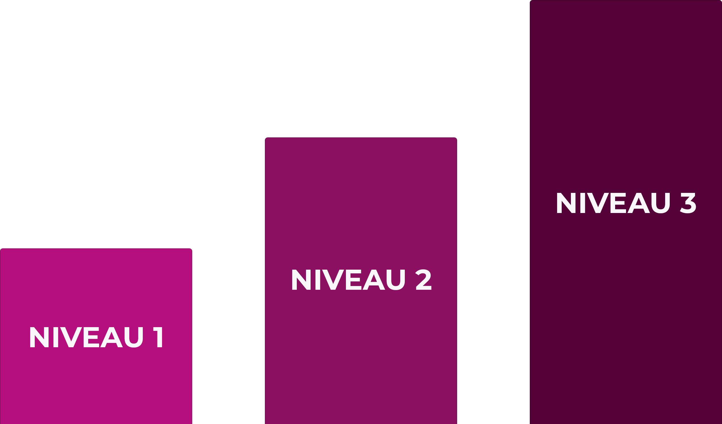 Niveau 1, Niveau 2, Niveau 3.