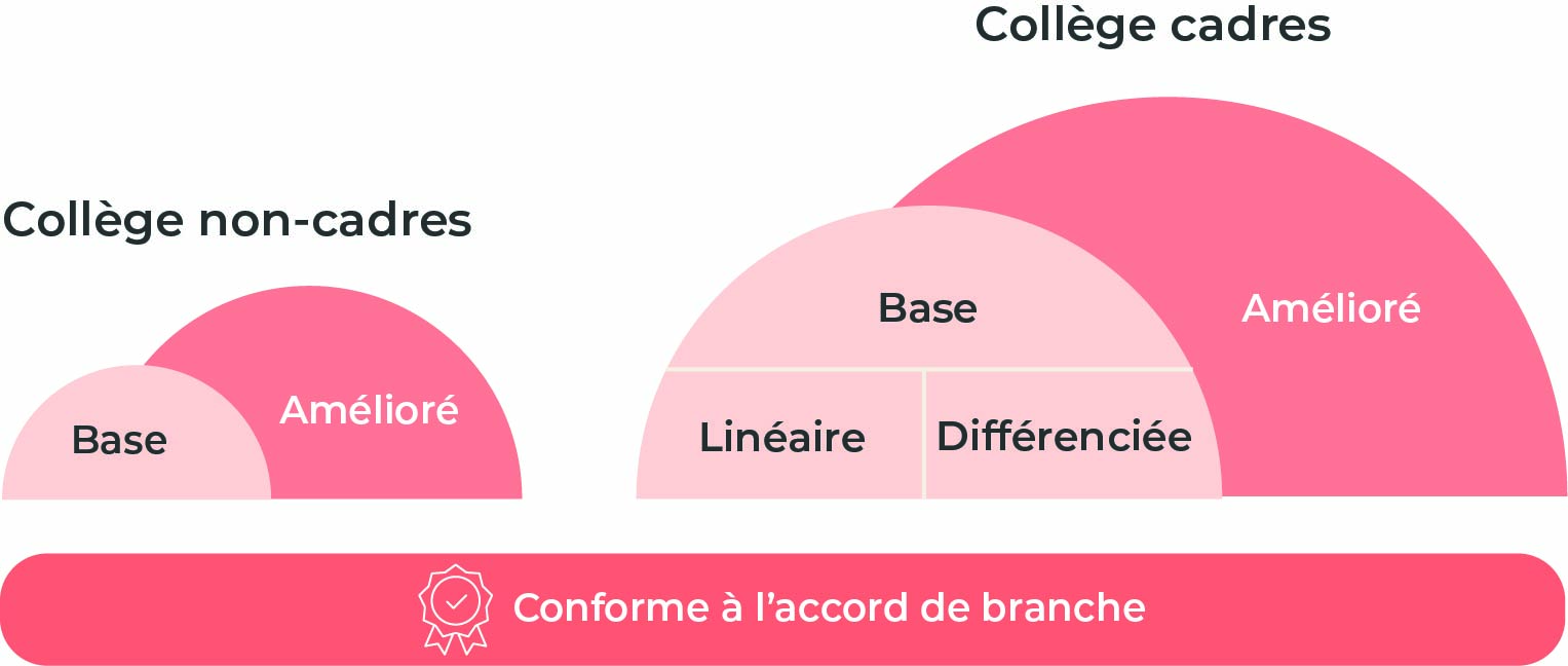 Collège non cadre : base et amélioré. Collège cadre : base + linéaire + différenciée et amélioré. Conforme à l'accord de branche.